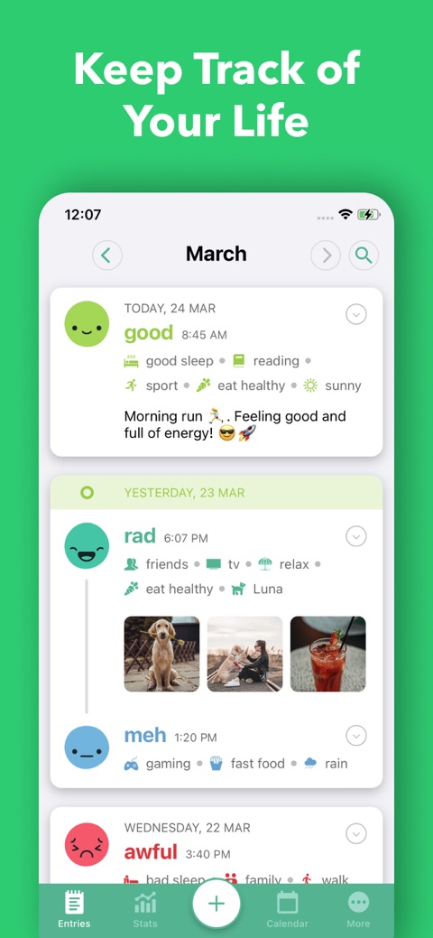 Official App Store screenshot 4 of Daylio Journal - Mood Tracker