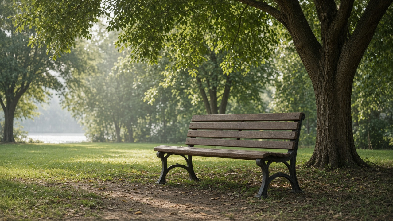 An empty wooden park bench under trees in soft morning light