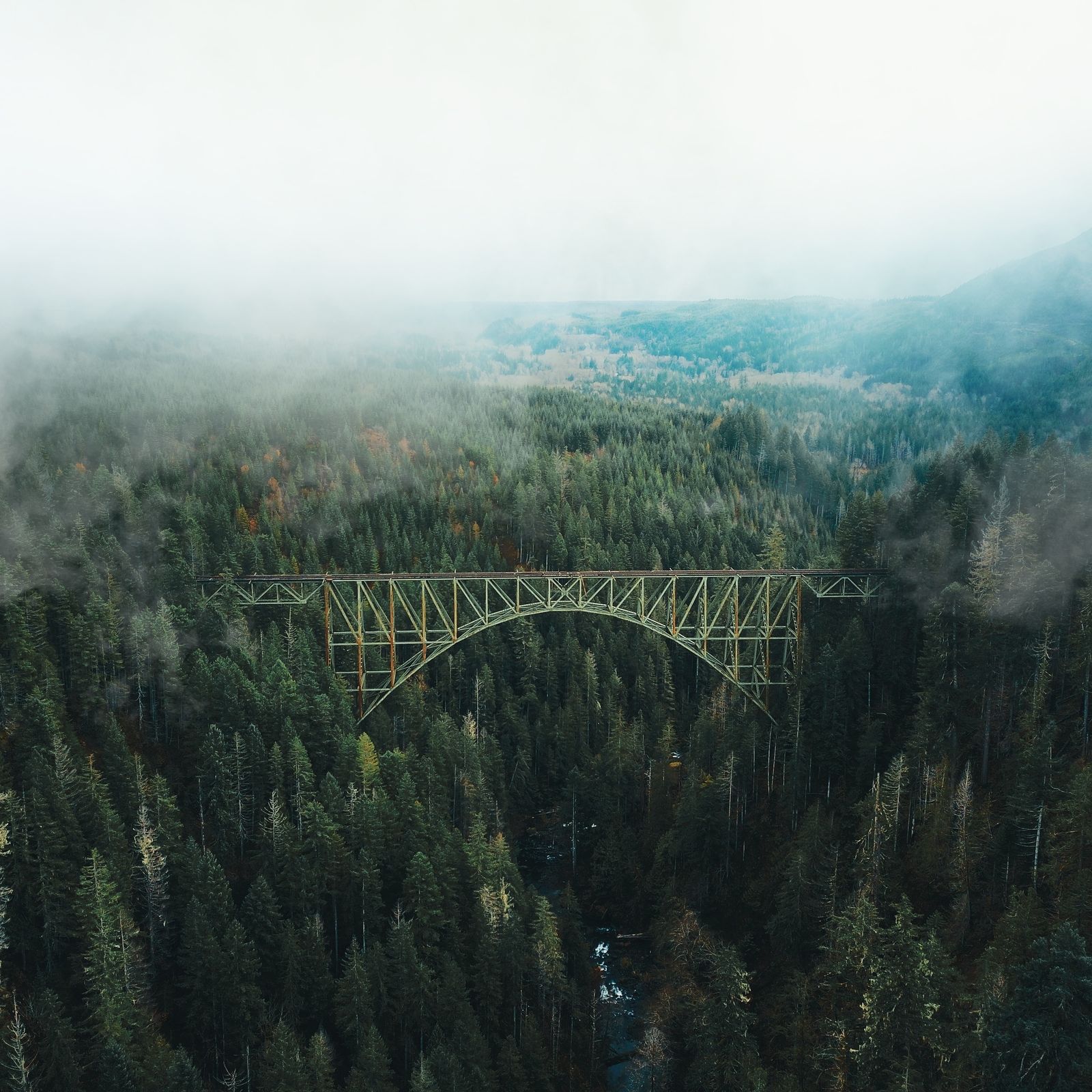 A steel arch bridge over a river valley of dense evergreen trees in low cloud