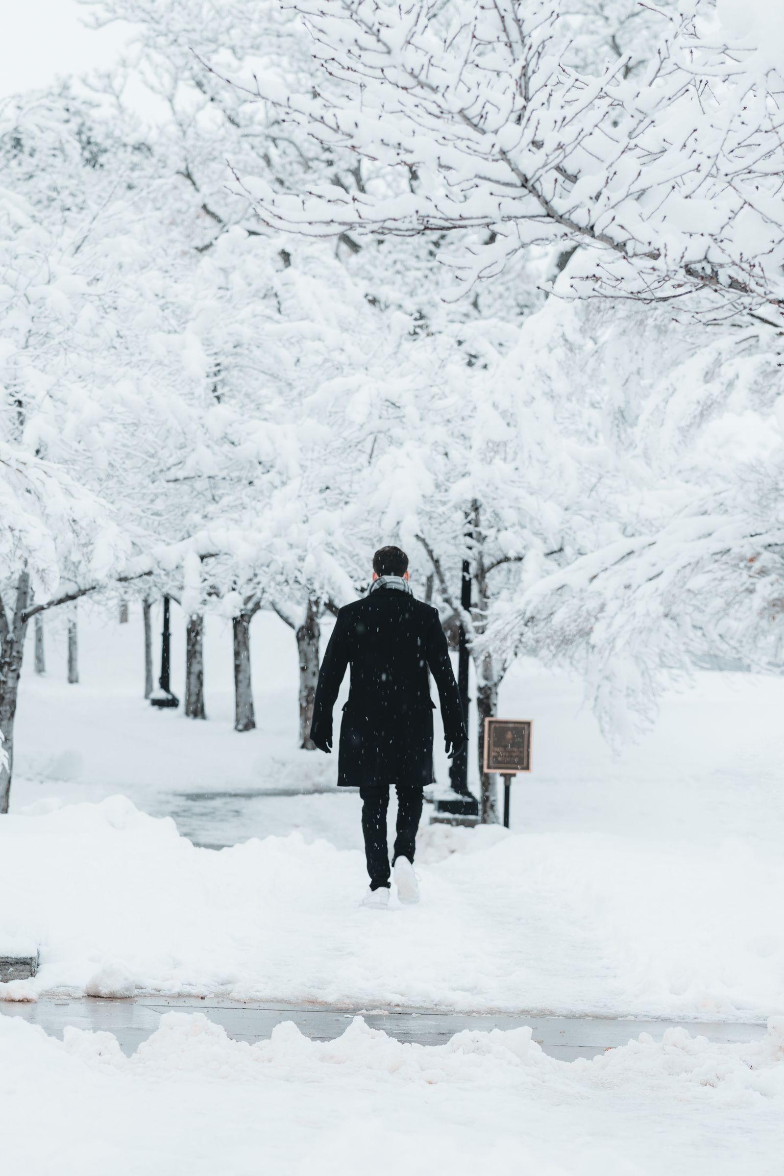 A man in a dark coat walking along a snowy tree-lined path