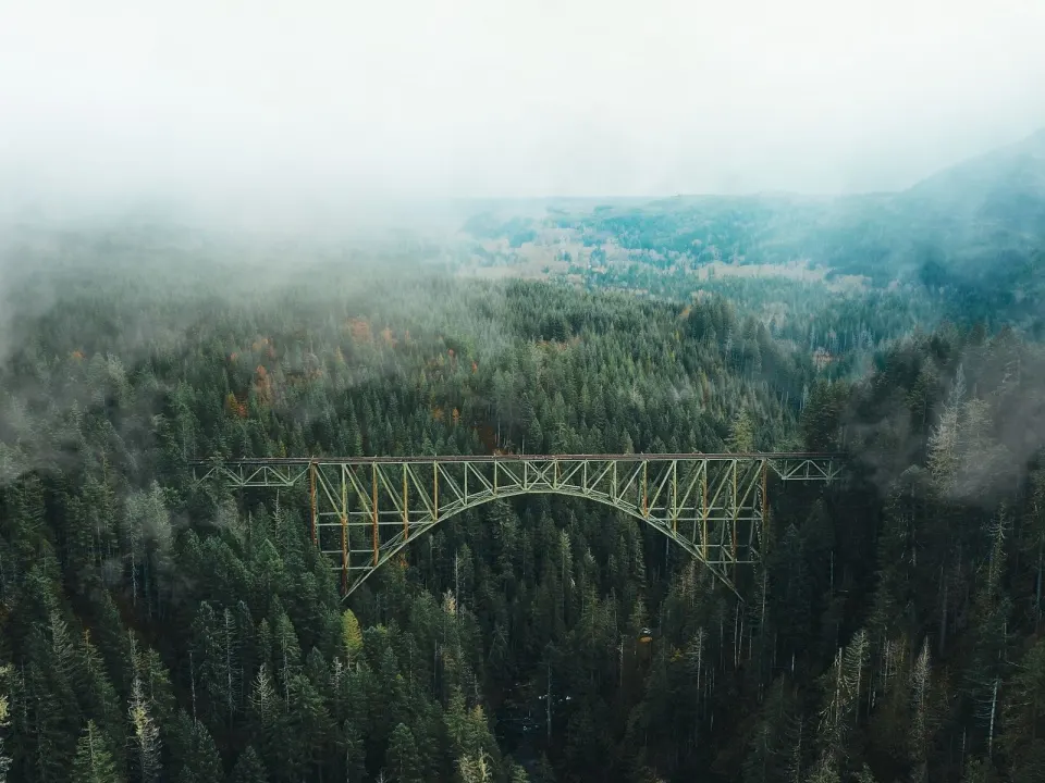 A steel arch bridge over a river valley of dense evergreen trees in low cloud