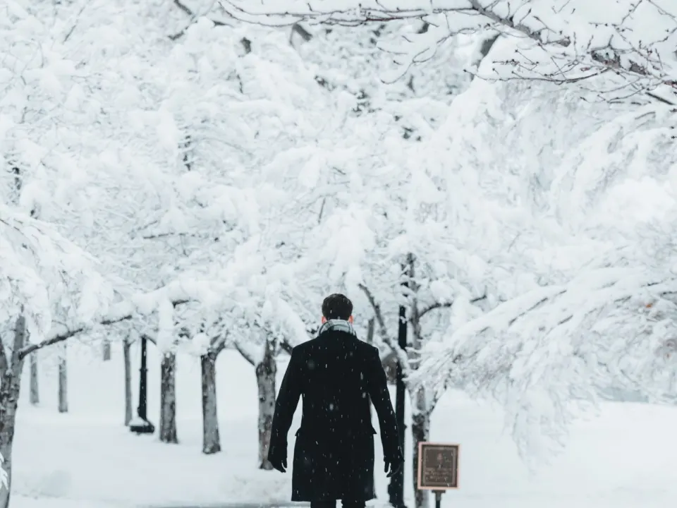 A man in a dark coat walking along a snowy tree-lined path