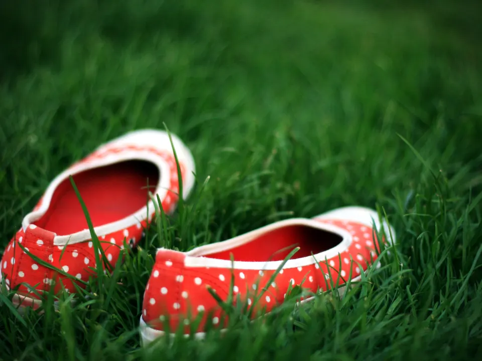 A pair of worn shoes resting in green grass