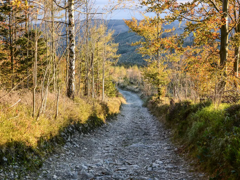 A marked forest hiking path leading toward a Czech hilltop