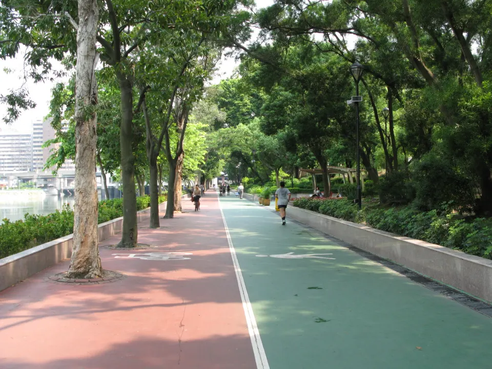 A paved jogging trail winding through a green town park