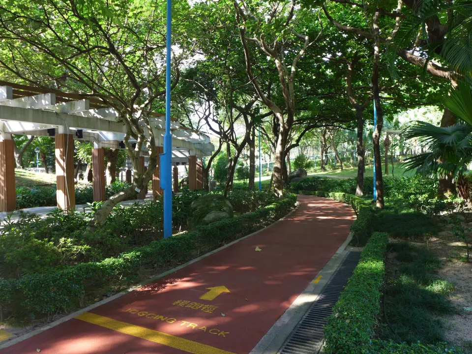 An outdoor jogging track marked beside a park lawn
