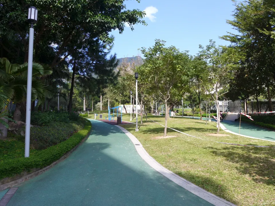 A tree-lined outdoor jogging path with a painted lane marker