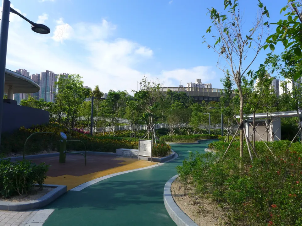 A marked outdoor jogging track beside trees in a town park