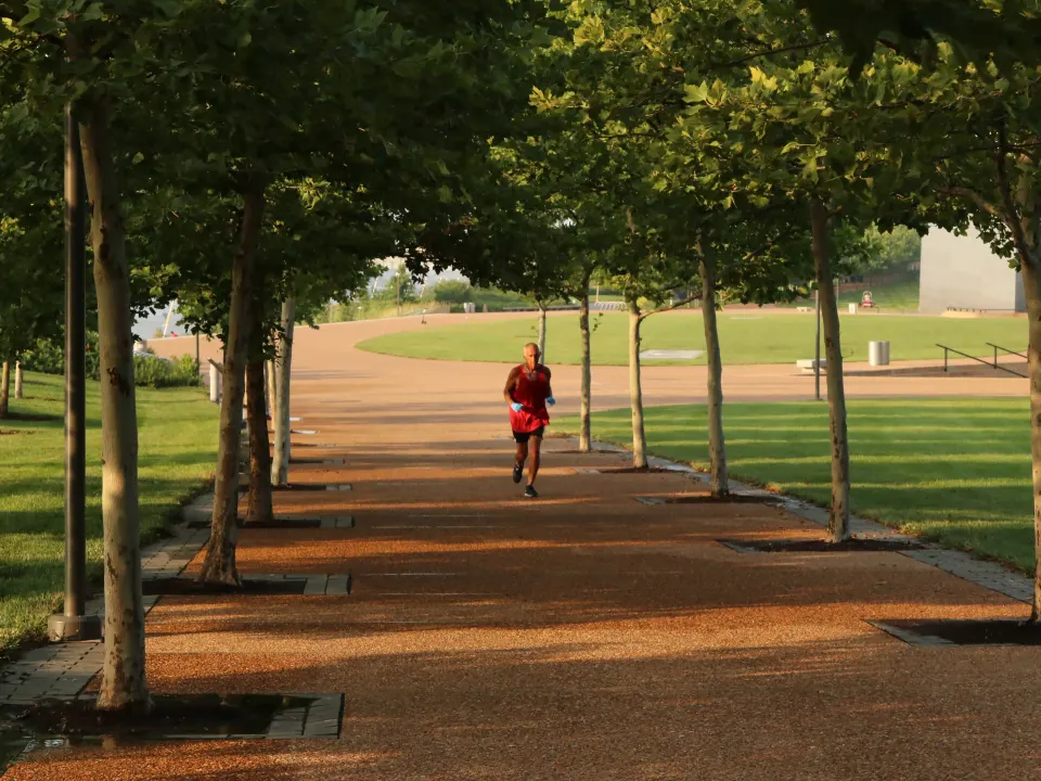 A runner in a red shirt on a wide park path under trees